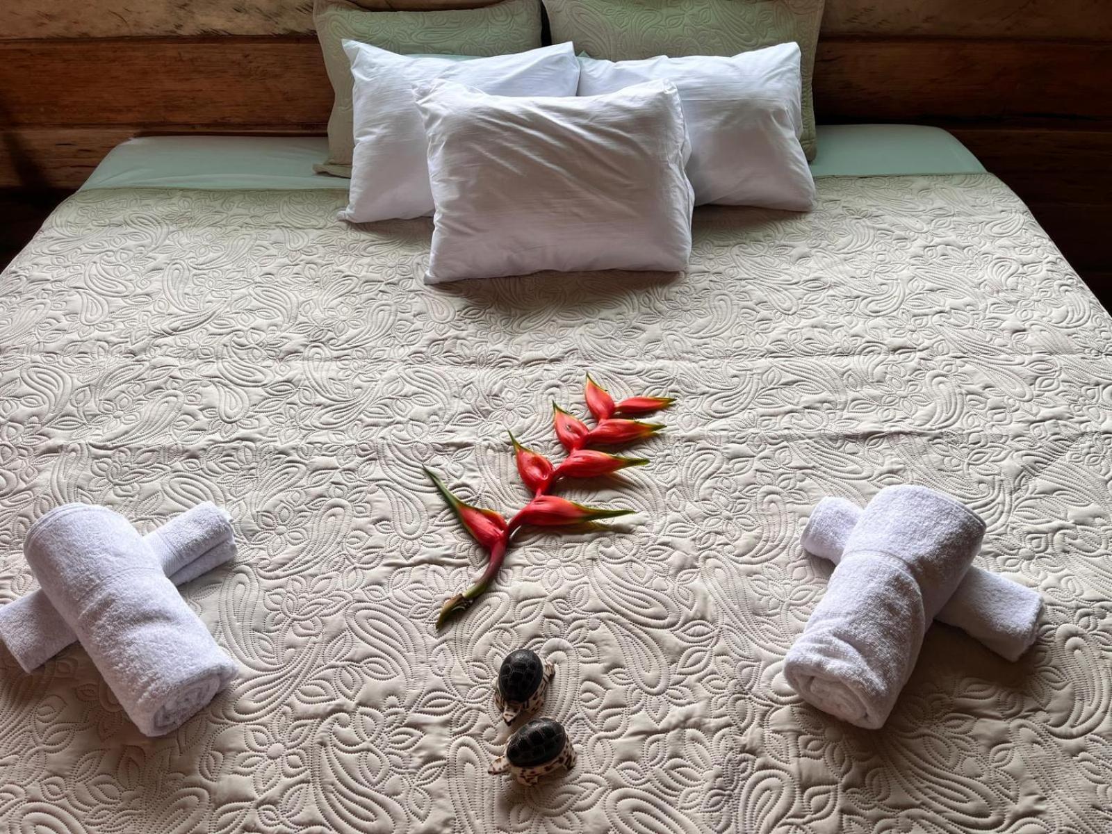 Purachata Ecolodge Iquitos Bagian luar foto