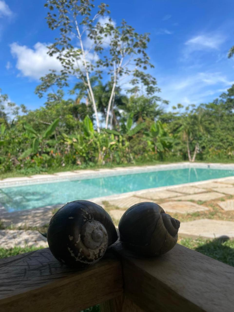 Purachata Ecolodge Iquitos Bagian luar foto
