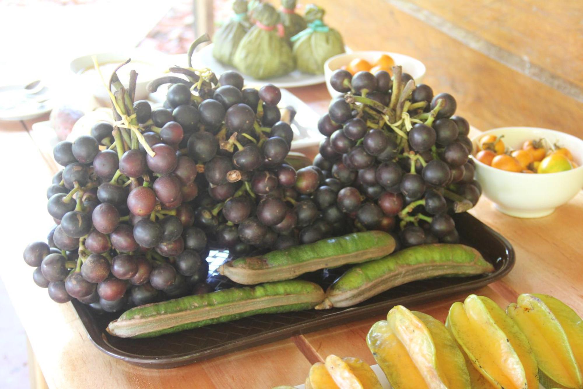 Purachata Ecolodge Iquitos Bagian luar foto