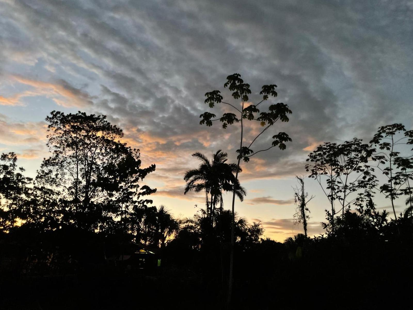 Purachata Ecolodge Iquitos Bagian luar foto