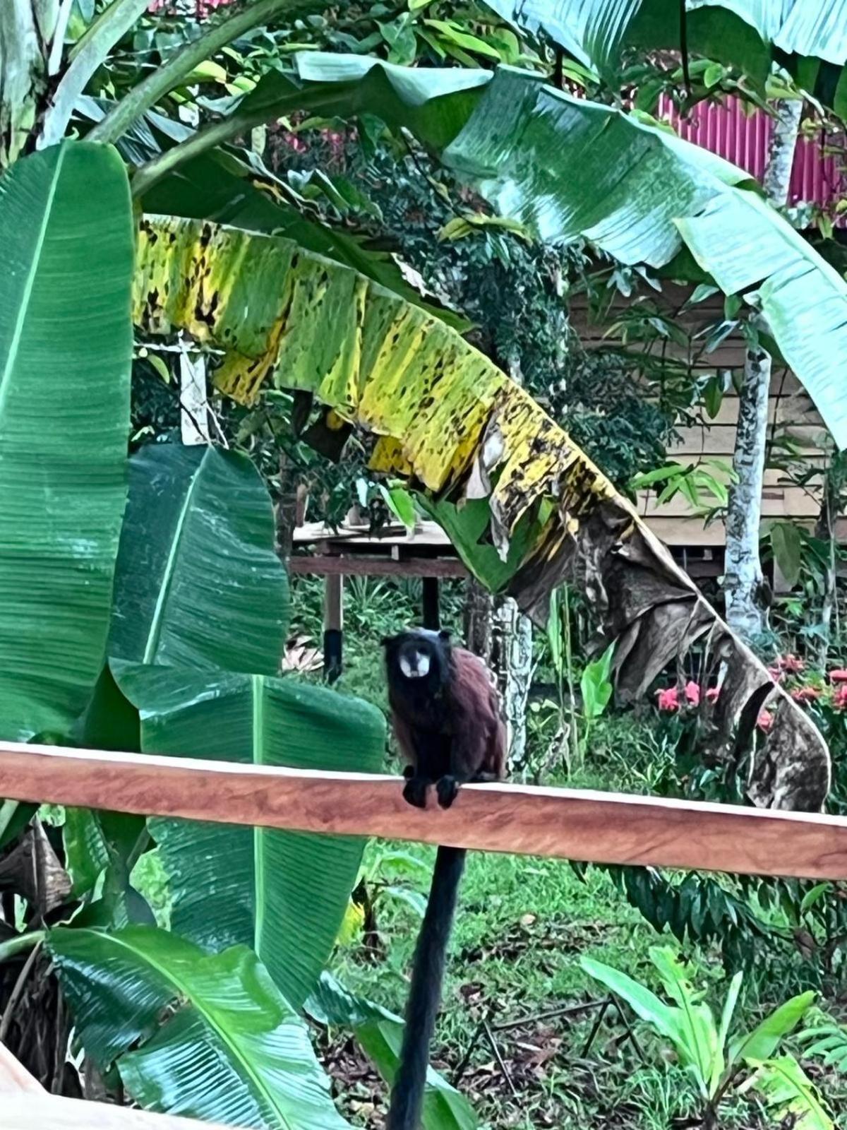 Purachata Ecolodge Iquitos Bagian luar foto